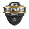 Group 3 (13-16 years old)